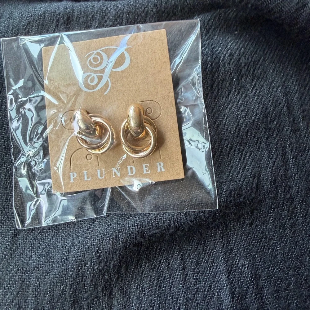 ‼️NWT Plunder Gold Double Hoop Earrings